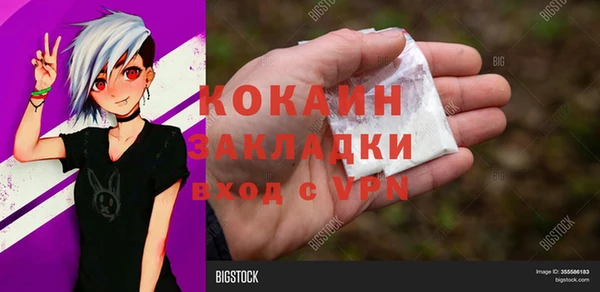 сатива Иннополис
