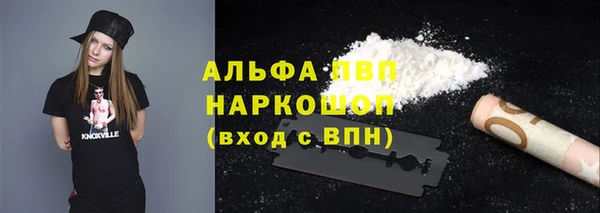 СК Зерноград