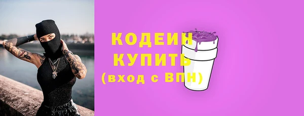 сатива Иннополис