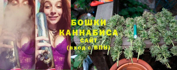 СК Зерноград