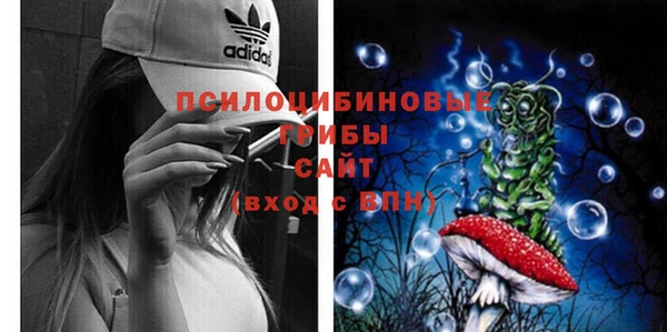 сатива Иннополис