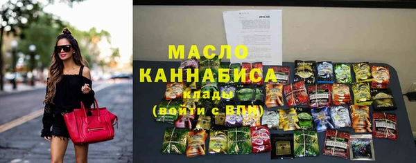 сатива Иннополис
