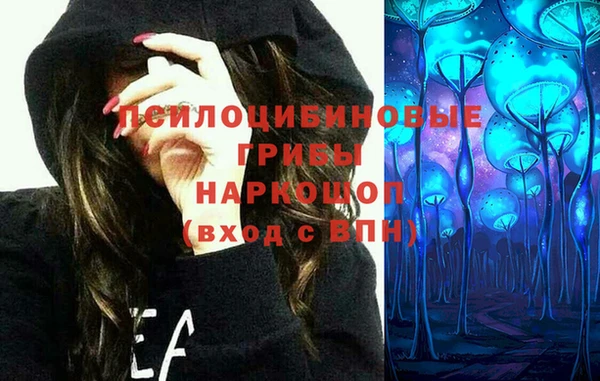 СК Зерноград