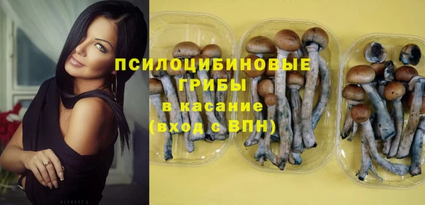 СК Зерноград