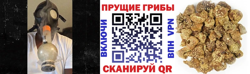 Купить где  Кадников  Псилоцибиновые грибы ЛСД 
